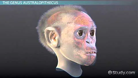 Onde os Australopithecus surgiram?