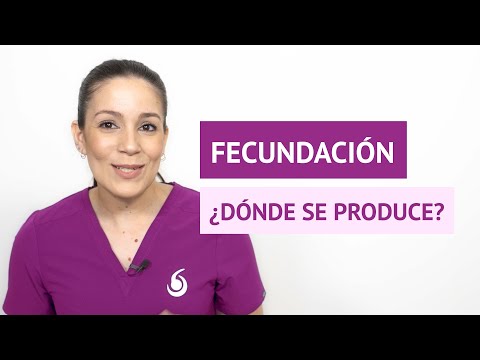 ¿Dónde se produce