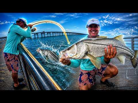 Monster Under the Pier!! Fishing Sebastian Inlet