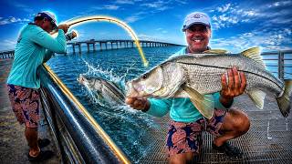 Monster Under the Pier!! Fishing Sebastian Inlet
