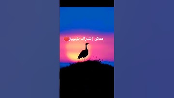 #راحة_نفسية #قران #تلاوة_خاشعة #اكسبلور #ارح_قلبك #قران_كريم #لايك