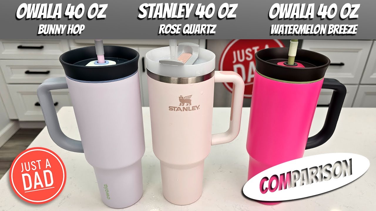 Owala 40 Oz Tumbler Vs Stanley 40 Oz Tumbler With Straw Lid And Handle 