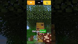 did you know you can calm bees #minecraft #minecrafttutorial #minecrafter #minecrafttipsandtricks