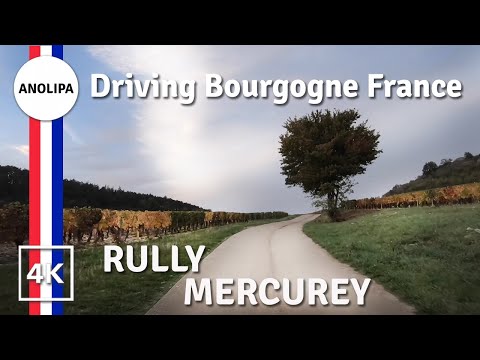 فيديو: Beaune ومنطقة النبيذ بورجوندي في فرنسا