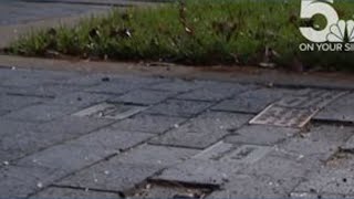 Dozens of bronze plaques stolen from St. Louis pet memorial park