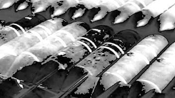 Objection - Foreign [Distorted Perception]