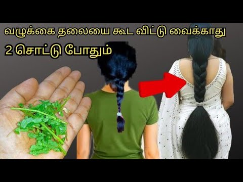 உதிர்ந்து போன முடியை அடர்த்தியாக வளர வைக்க வெறும் 2  சொட்டு போதும் சீக்ரெட் பொருள் hair growth tips