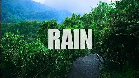 Rain | Finding Calm in Chaos #rain 