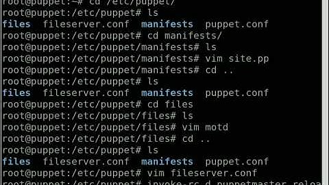 Server Configuration with Puppet