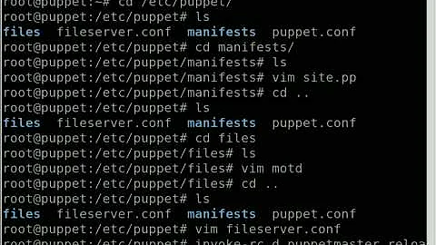 Server Configuration with Puppet