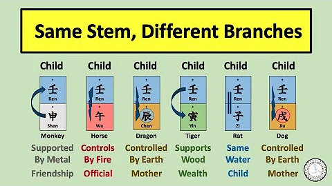 How to Interpret if the Heavenly Stem generates or Controls the Earthly Branch? - 16th Live (1) - DayDayNews