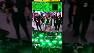 Ufc 268 Madison Square Garden