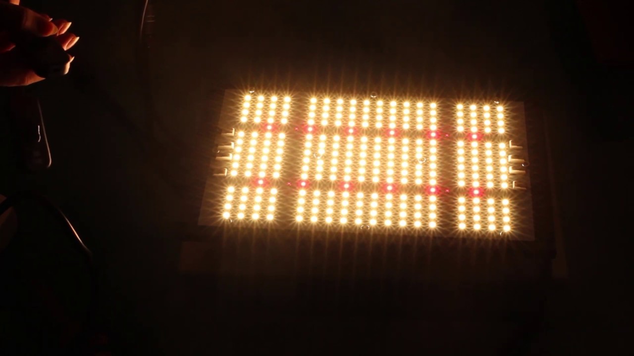 2020 120W Newest Led Grow Light Quantum Board/Monster Board V4 Plus For Indoor Plant  Unboxing video