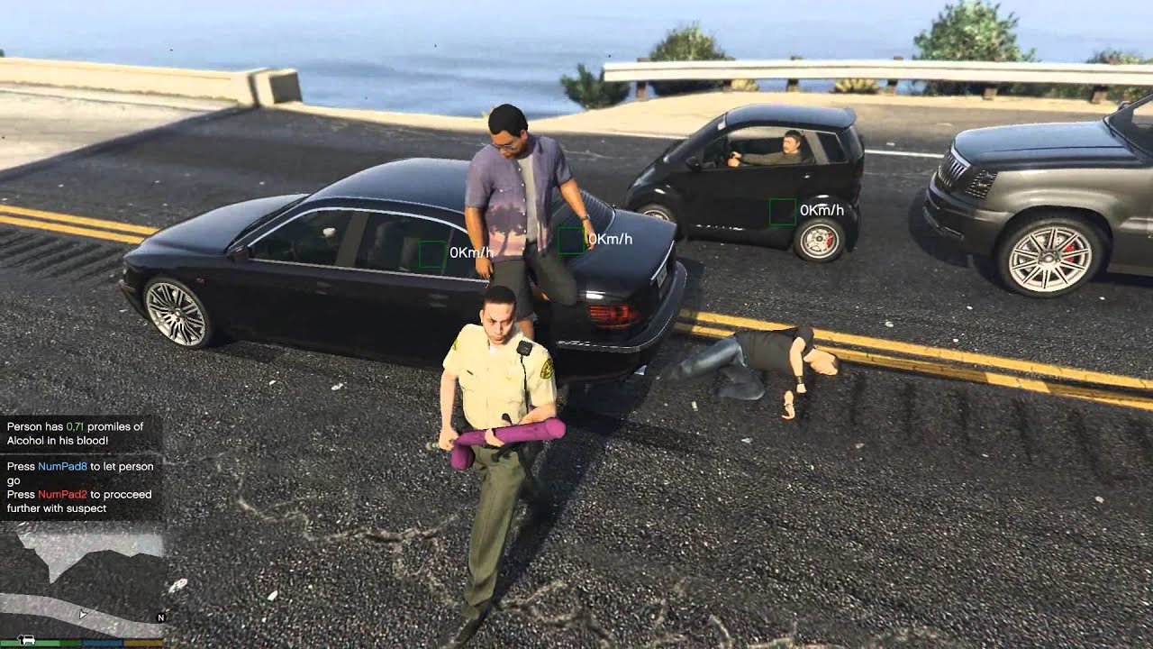 GTA V PC MODS - Policia En Busca De Locos Al Volante !! - Random Moments GTA 5 PC juegos panamericanos 2019 en vivo