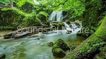 4K Video | Âm Nhạc Thư Giãn | Tiếng Nước Chảy