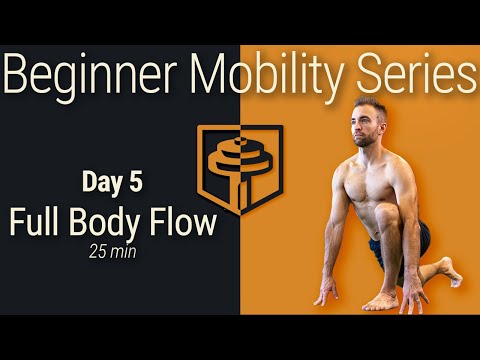 Day 5: Full Body FLOW | 25 Minutes | Beginner Mobility Series