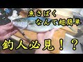 良いナイフが手に入ったのでハマチをさばいちゃう【魚さばき】【包丁研ぎ】【刃の黒幕】Knife sharpening