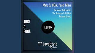 Just a Fool (The Distance & Riddick Remix)