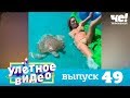 Улетное видео | Выпуск 49