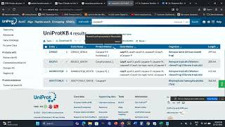 Celebrity Sequence Analysis - Primary structure analysis - Protparam and Protscale 2026 Wealth