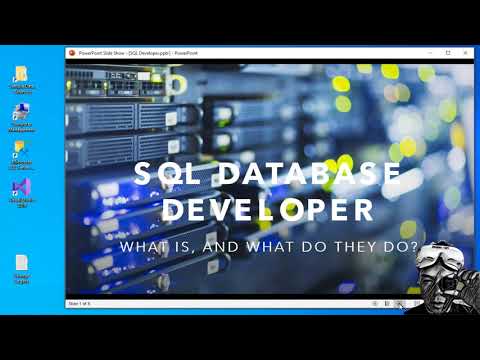 (What is a) SQL Developer