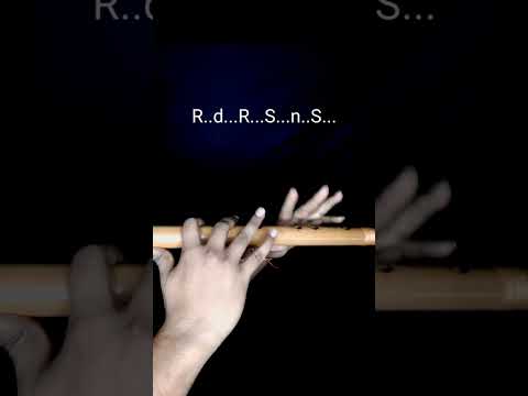 Tum Prem Ho Tum Preet Ho - Flute Cover | तुम प्रेम हो बांसूरी | Radhe Krishna | Divine Bansuri