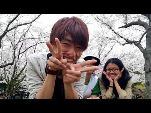 Where to go in Okayama: Korakuen Garden and Okayama Castle