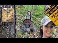 Hardwood ridge turkey hunt  hunter interference hunting finicky late season birds