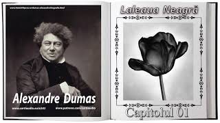 Alexandre Dumas - Laleaua neagra - Capitolul 01