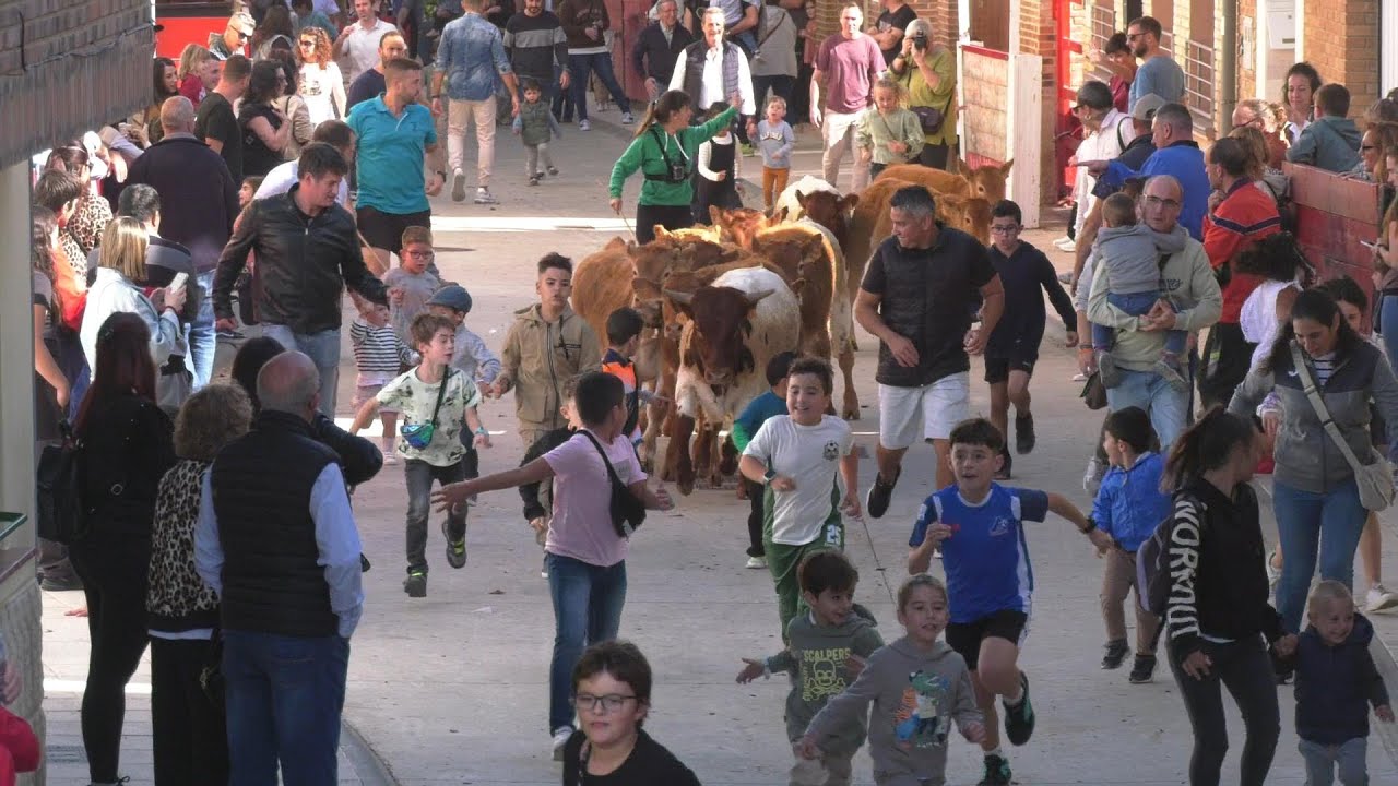 Tv Marcilla - 11/10/2025 - Trashumancia Infantil.