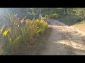 Sítio alicrim zona rural de goiana PE 