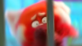 Awooga!! - Turning Red Ball (Meme) [Part 2]