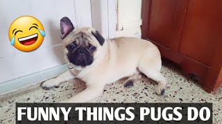 AWESOME THINGS THAT ONLY PUGS CAN DO | Cutest & Funniest Video