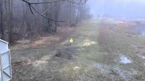 Air Rifle Exploding Targets Zombie Targets