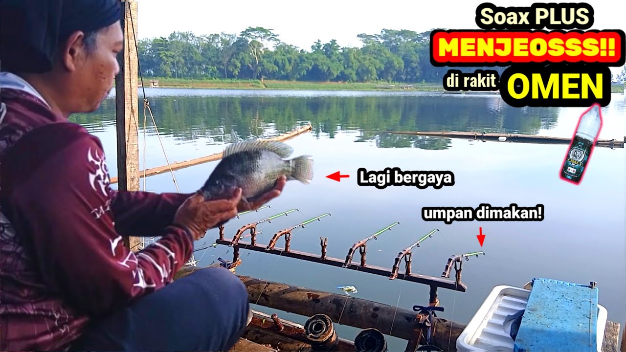 Spot ini lagi gacor, Serangan nila nya bikin kewalahan!! | SOAX PLUS MENJEOS DI RAKIT OMEN