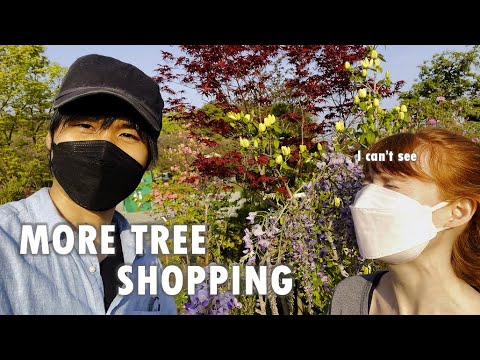 Japa The Giving Tree Mess Master main image 0