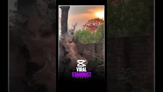 How I Create Viral Stardust Effects Tutorial in Capcut 🤯🔥#edit #capcut #tutorial