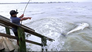 Saltwater Fishing for MONSTERS at Goose Island!