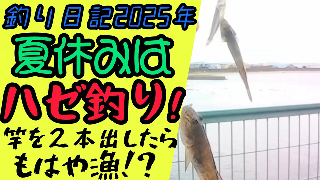 夏休みのハゼ釣りは絶好調！竿を2本出したらもはや漁！？ - YouTube