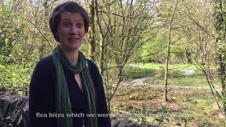 Homeopathy 4 Cats: Em and Monica screenshot 5