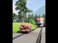 What if a train launched a massive boulder? 🪨🚂