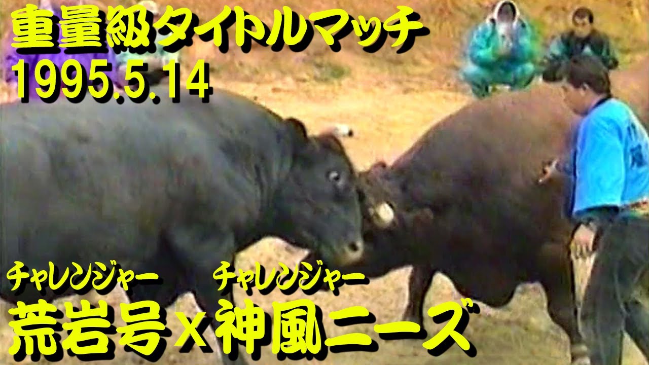 荒岩号x神風ニーズ 1995.5.14（重量級タイトルマッチ） 【沖縄闘牛