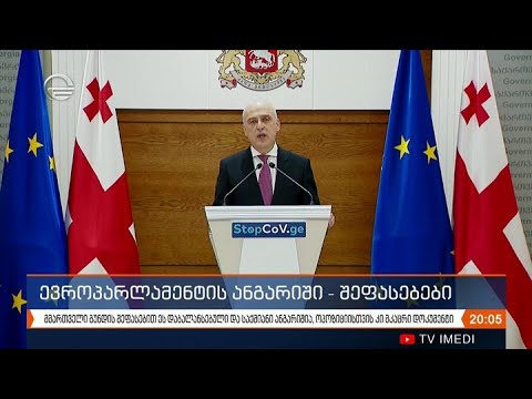 ევროპარლამენტის ანგარიში - შეფასებები