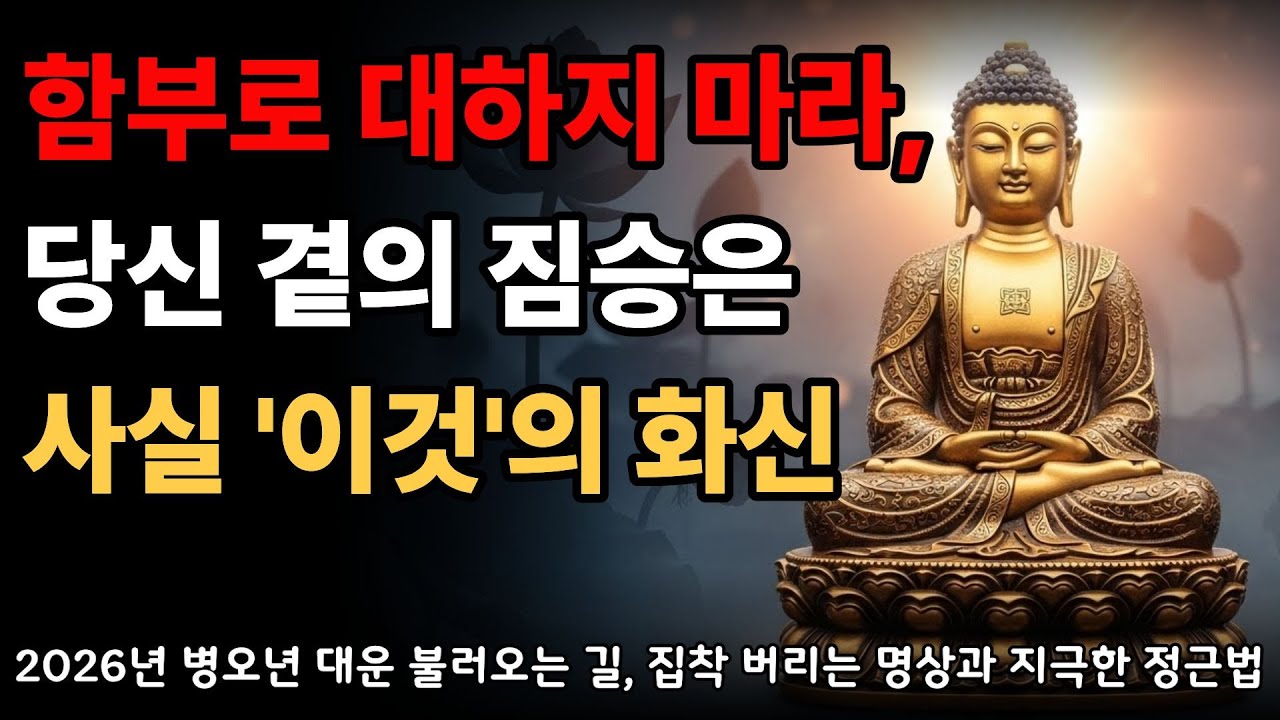 함부로 대하지 마라, 당신 곁의 짐승은 사실 '이것'의 화신 | 마음법문 | 부처님말씀