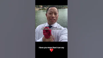 Wow Wow Yea Yea I Love You More Than I Can Say Hmong Version 