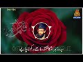 Allama jhangvi shaheed  speech insyedna fatima rajhangvi media