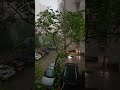 #Storm in #Noida #june2026 #2026 #thunderstorm #shorts #viral