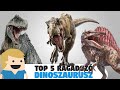 Top 5 legnagyobb ragadozó Dinoszaurusz ever!