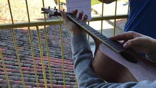 Conde Olinos Violinlele