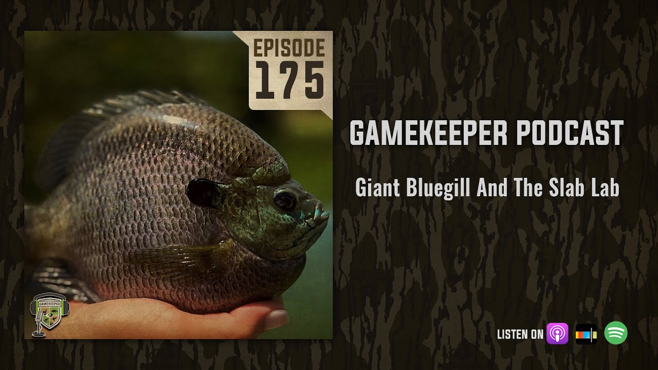 EP:175, Giant Bluegill and the Slab Lab